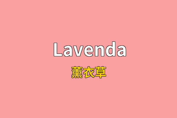 Lavenda英文名