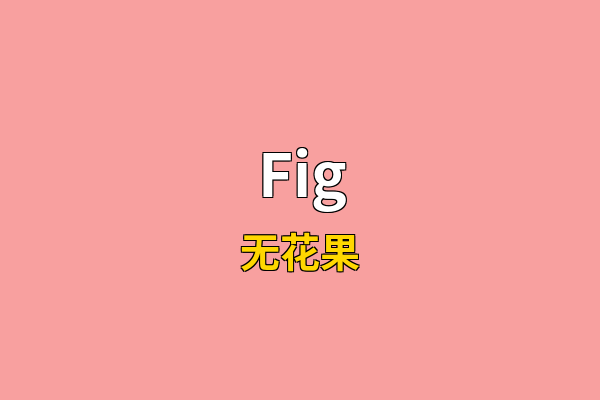 Fig英文名