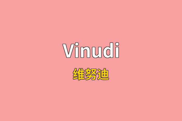 Vinudi英文名