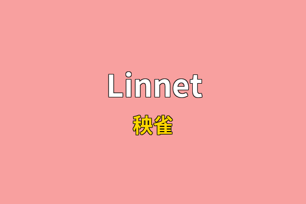 Linnet英文名
