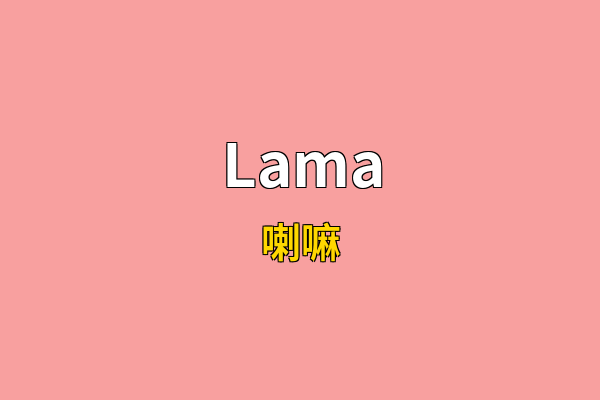 Lama英文名
