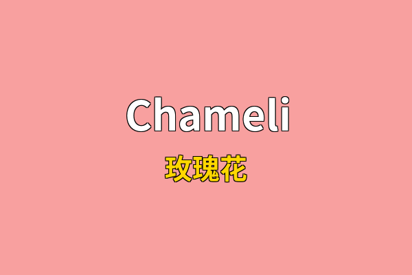 Chameli英文名