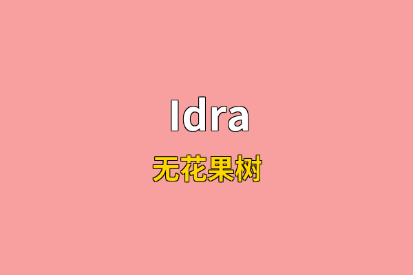 Idra英文名