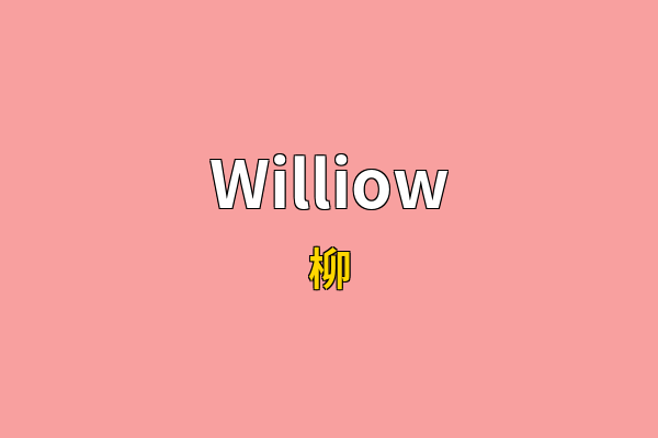 Williow英文名