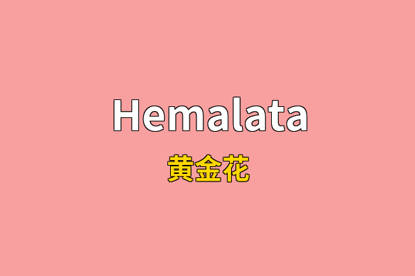 Hemalata英文名