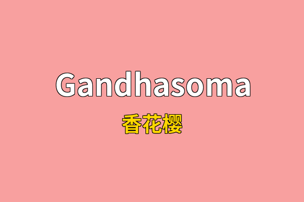 Gandhasoma英文名