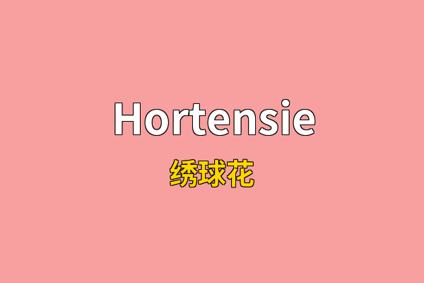 Hortensie英文名