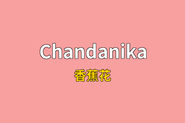 Chandanika英文名