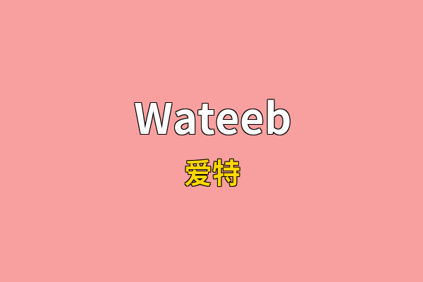 Wateeb英文名