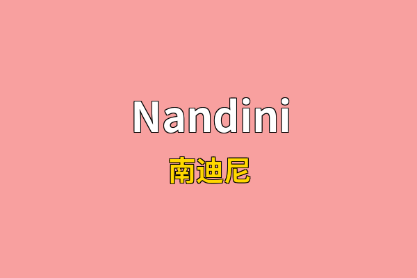 Nandini英文名