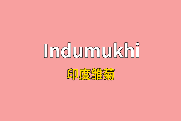 Indumukhi英文名