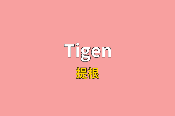 Tigen英文名