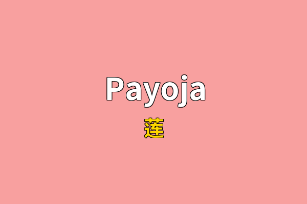 Payoja英文名