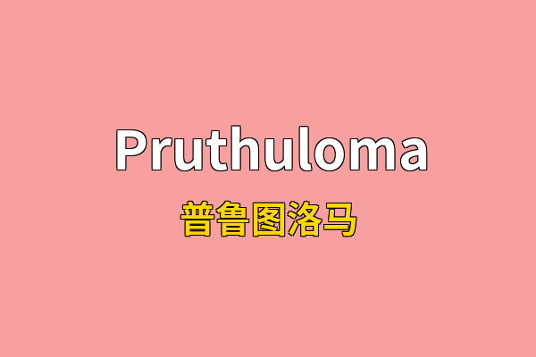 Pruthuloma英文名