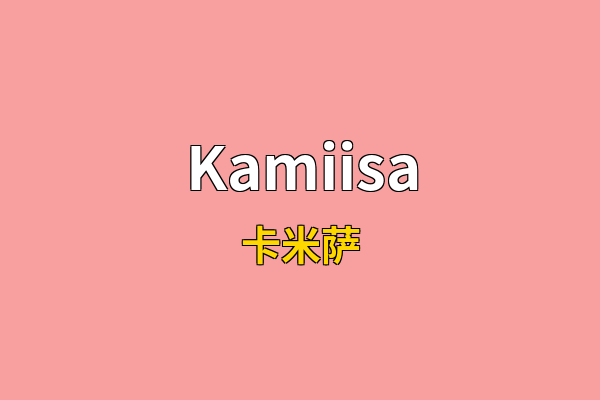 Kamiisa英文名