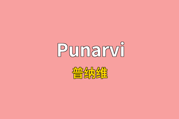 Punarvi英文名
