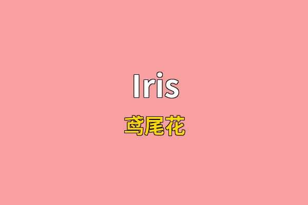 Iris英文名