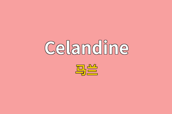 Celandine英文名