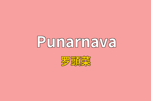 Punarnava英文名