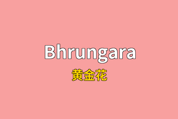 Bhrungara英文名