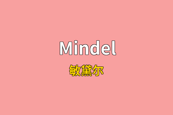 Mindel英文名