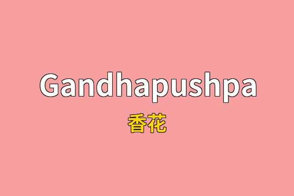 Gandhapushpa英文名