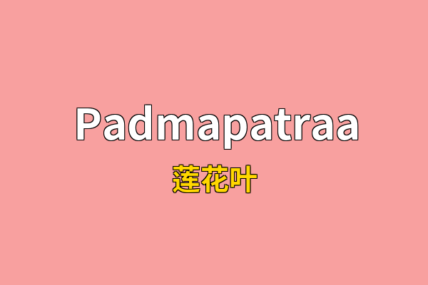 Padmapatraa英文名