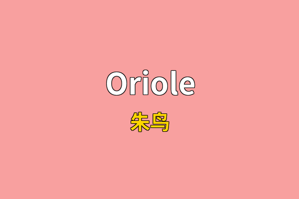 Oriole英文名