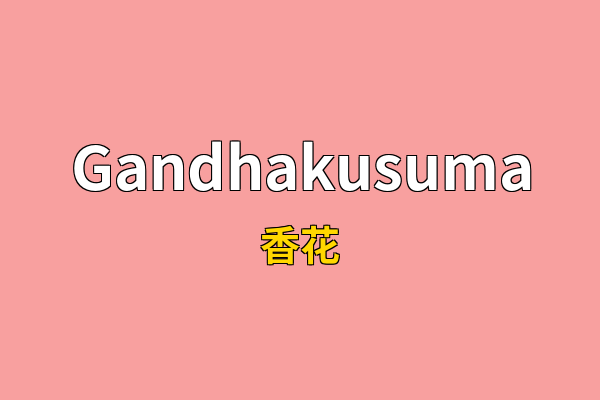 Gandhakusuma英文名