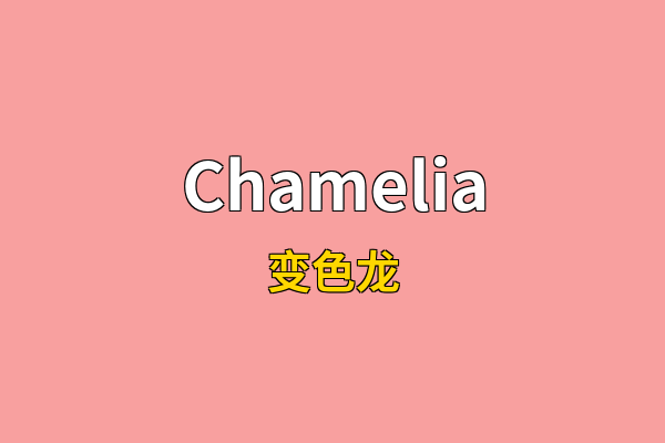 Chamelia英文名