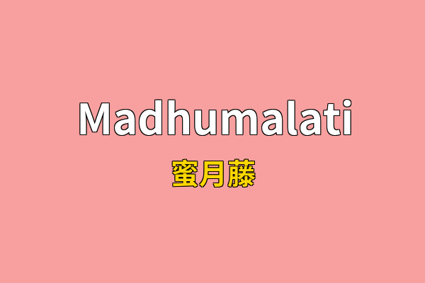 Madhumalati英文名
