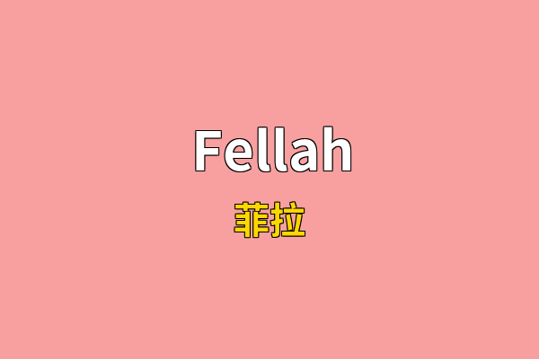 Fellah英文名