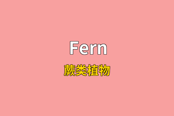 Fern英文名