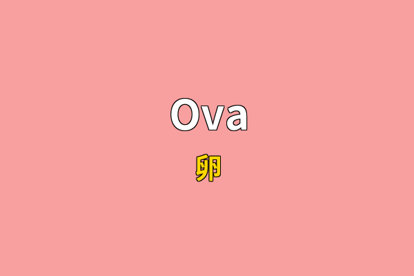 Ova英文名