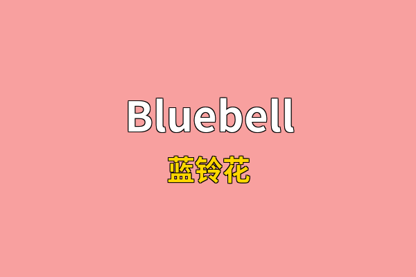 Bluebell英文名