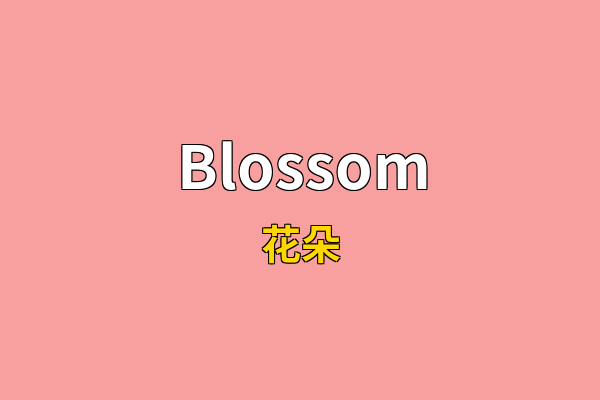Blossom英文名
