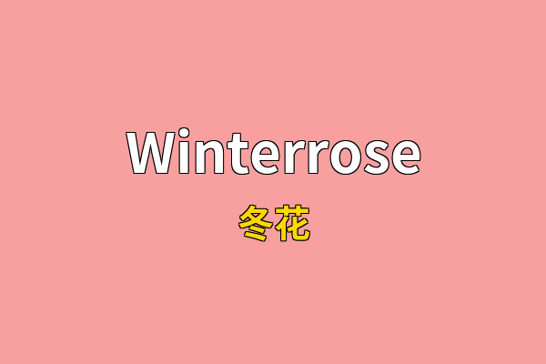Winterrose英文名
