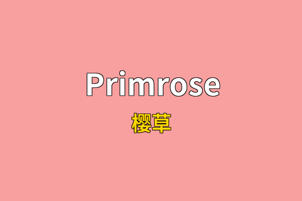 Primrose英文名