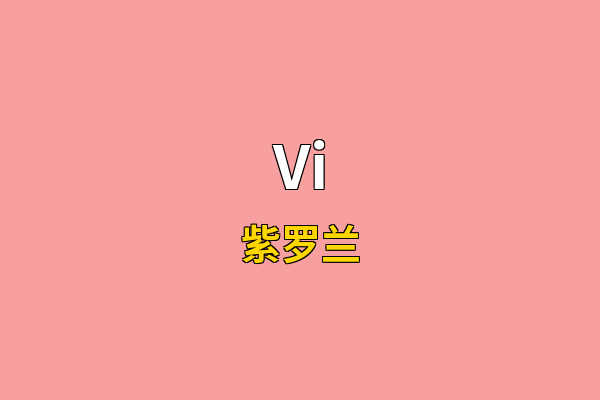 Vi英文名