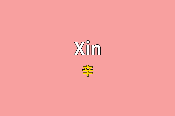 Xin英文名