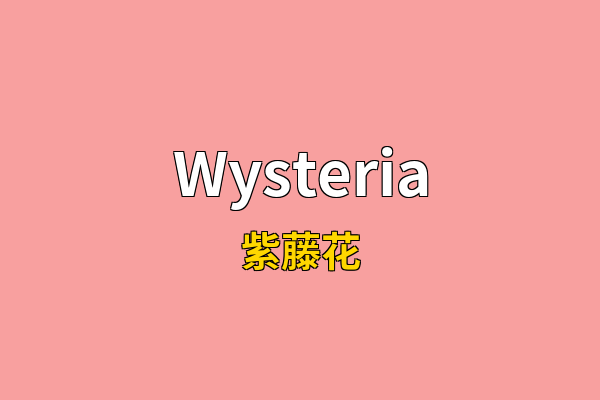 Wysteria英文名