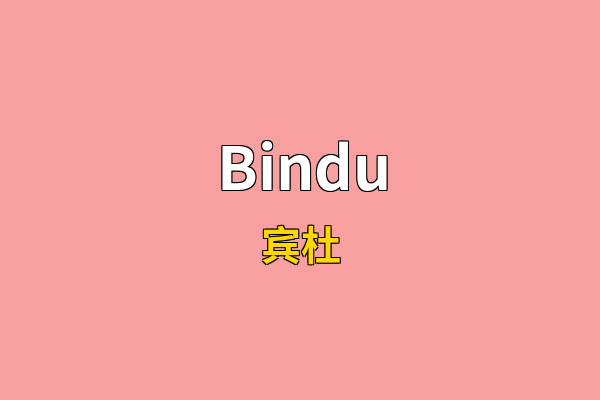 Bindu英文名