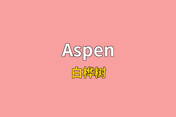 Aspen英文名