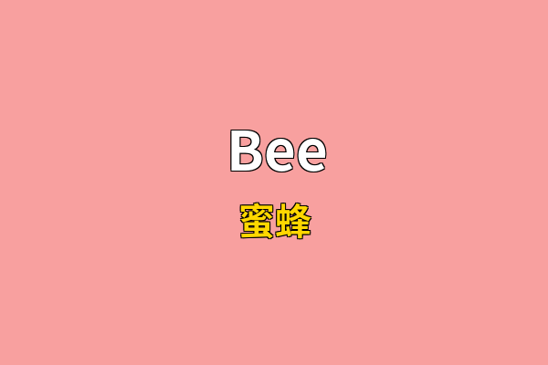 Bee英文名