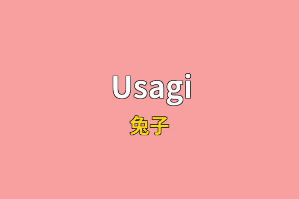 Usagi英文名