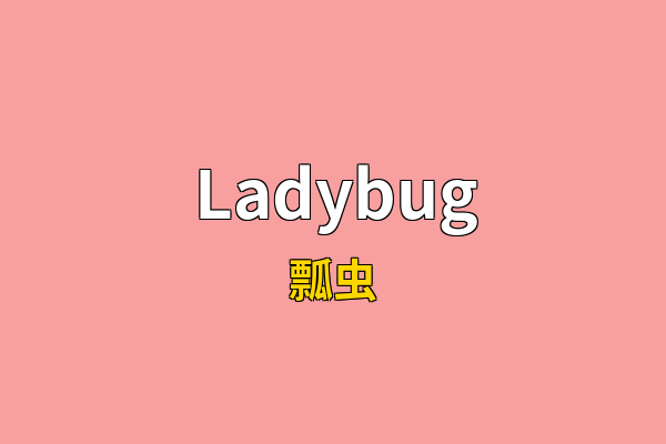 Ladybug英文名