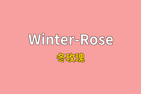 Winter-Rose英文名