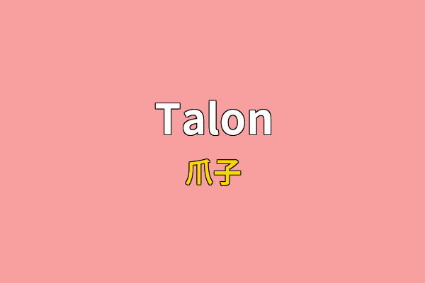 Talon英文名