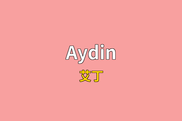 Aydin英文名