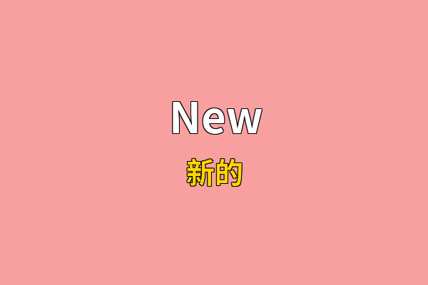 New英文名
